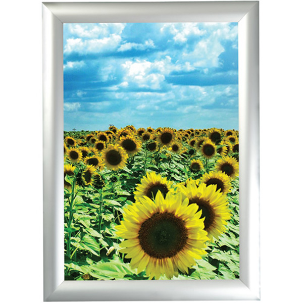 Snapper 45 mm Alüminyum Çerçeve - Görsel 3